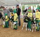 Mali hodowcy Sielinko 2012 - 44