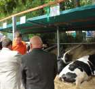 XX Targi Rolnicze Lubniewice