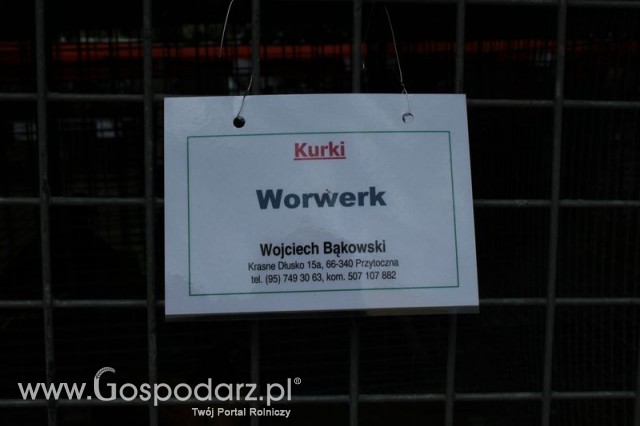 Kurki Worwerk