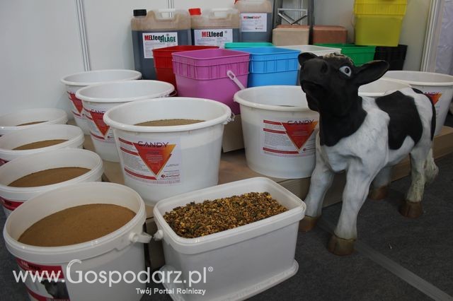 Fotoreportaż  z XI Międzynarodowych Targów Fermy Bydła