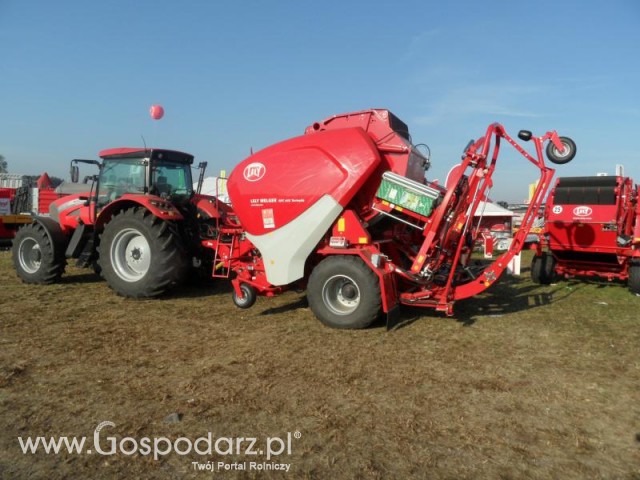 Prasoowijarka zmiennokomorowa 