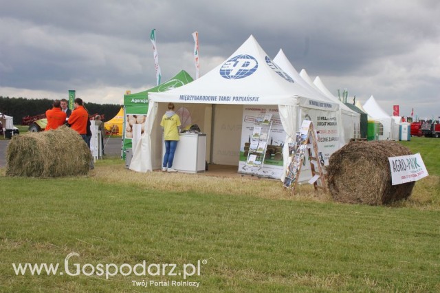 Zielone Agro Show Kąkolewo - Polskie Zboża  - 35