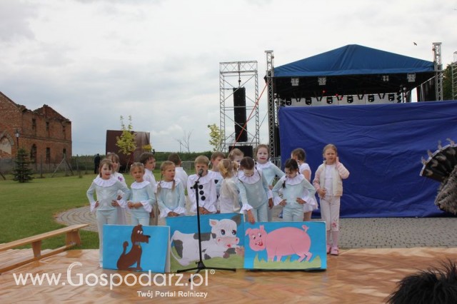 Występy artystyczne odbywające się podczas Dni Indyka