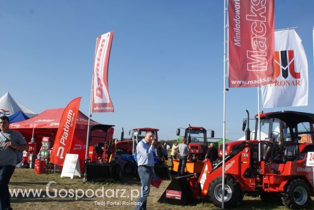 Zdj. - 166 - FHU DAMIAN