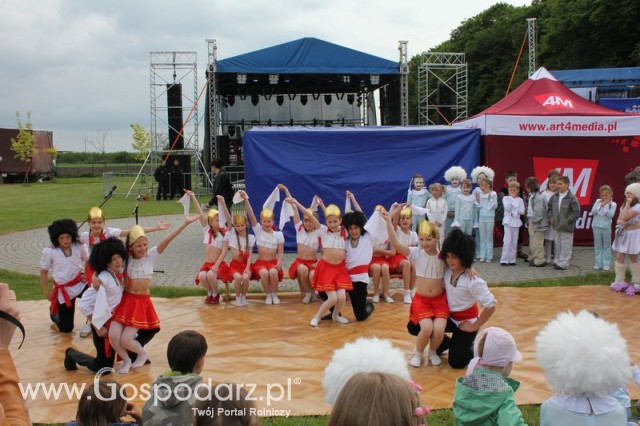 Występy artystyczne odbywające się podczas Dni Indyka