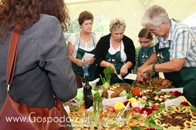 IX Święto Gęsi w Biskupcu - 101