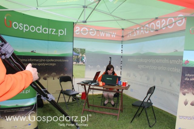 Pierwsze dni indyka w Koźminku