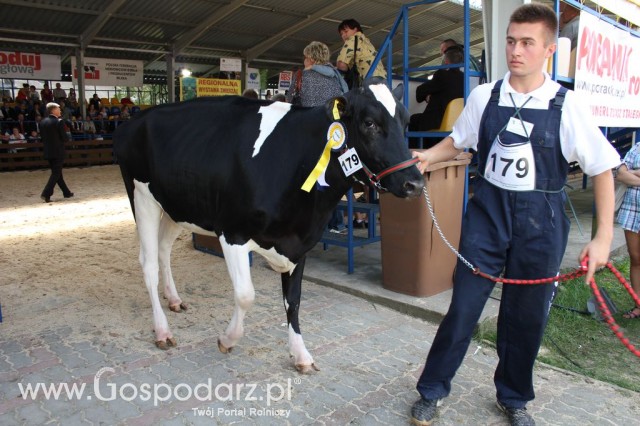 Bydło - Szepietowo 2012 XIX Regionalna Wystawa Zwierząt Hodowlanych - 74
