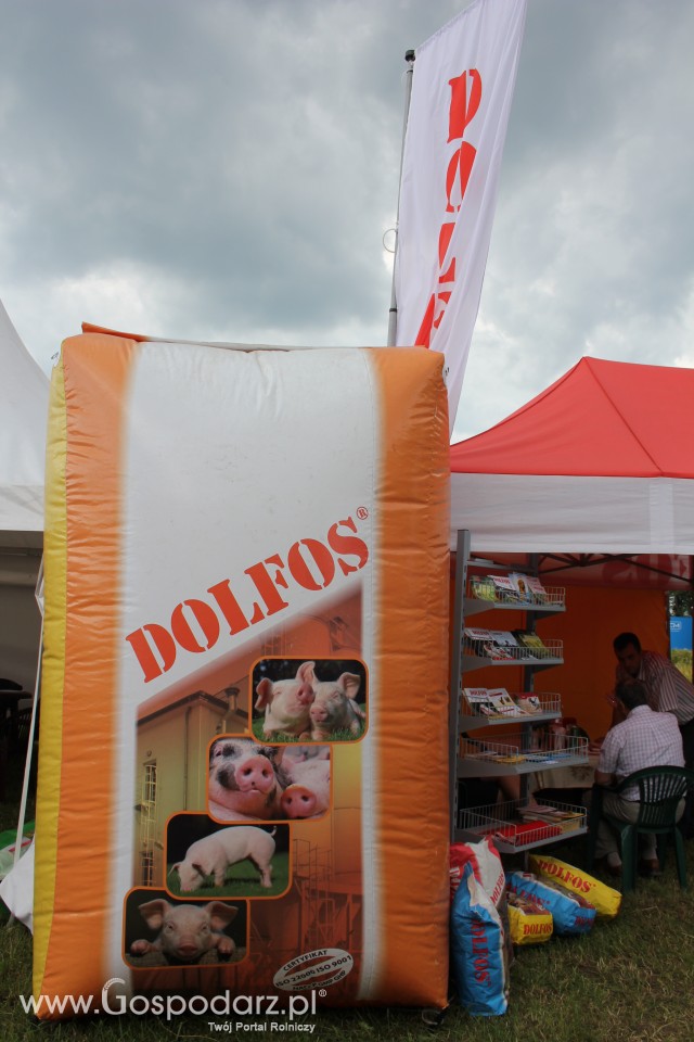 DOLFOS - Szepietowo 2012 - 3