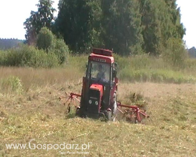 Przegrabianie siana.