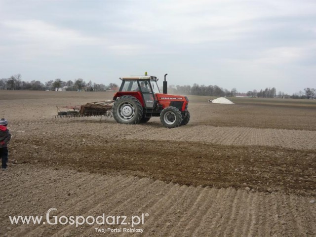 Uprawianie pod buraki