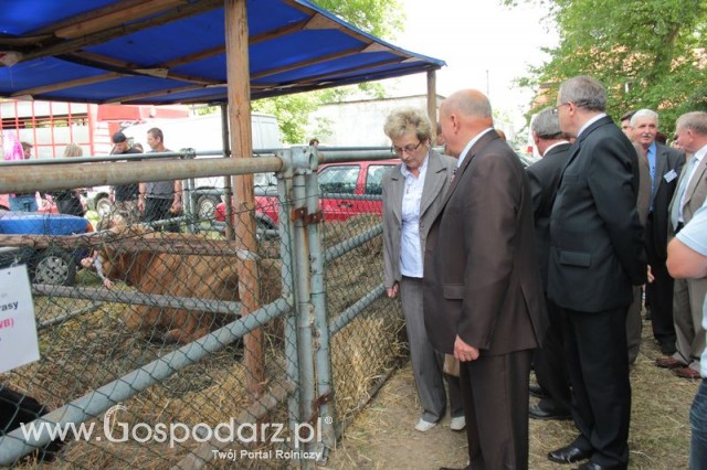 XX Targi Rolnicze Lubniewice