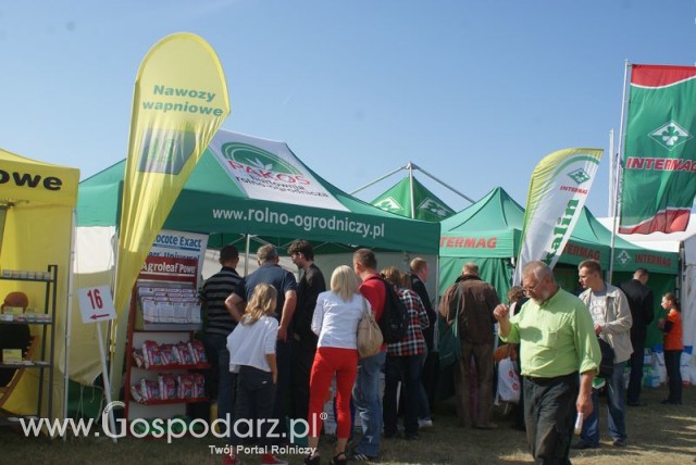 Zdj. - 472 - PAKOS PIOTR NIEMIEC