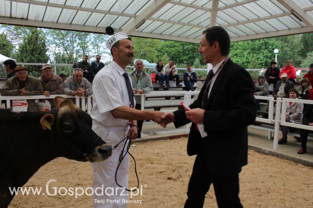 VII Ogólnopolska Wystawa Bydła Hodowlanego - 126