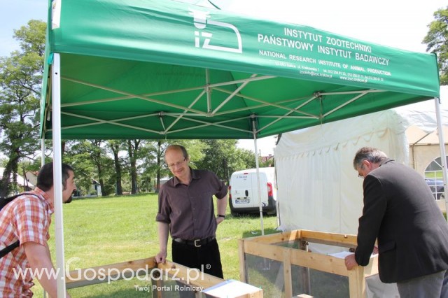 IZOO Balice dzień drugi  - 77