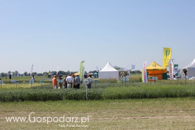 Polskie Zboża 2011 - Sobota