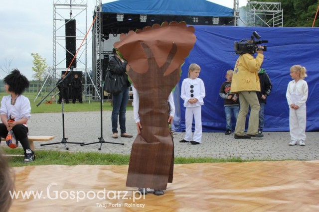 Występy artystyczne odbywające się podczas Dni Indyka