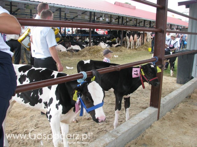 Młody Hodowca - Szepietowo 2012 - 8