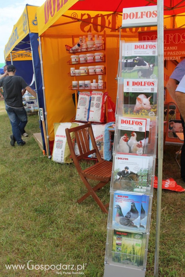 DOLFOS - Opolagra 2012 - 4