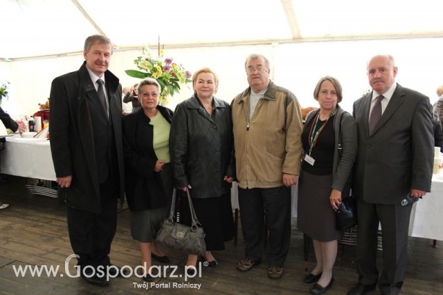 Pierwsze dni indyka w Koźminku