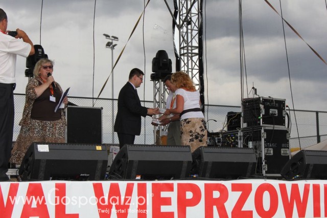 Festiwal Wieprzowiny w Bełżycach - 101