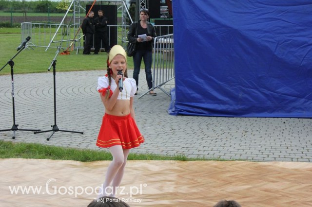 Występy artystyczne odbywające się podczas Dni Indyka