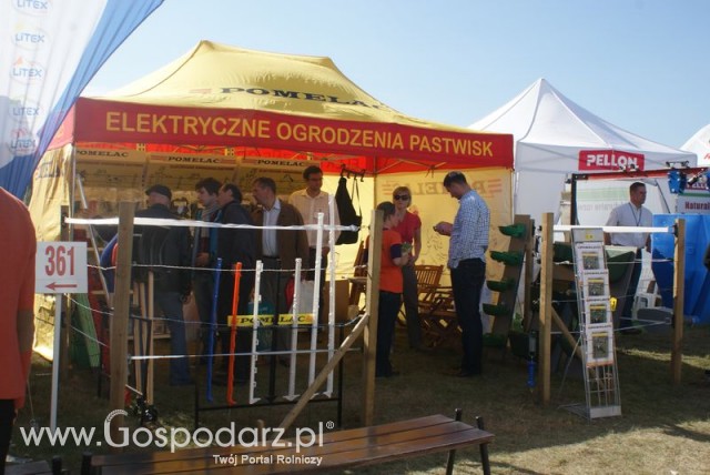 Zdj. - 420 - POMELAC Sp. z o.o.