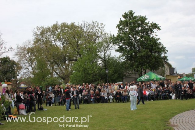 Występy artystyczne odbywające się podczas Dni Indyka