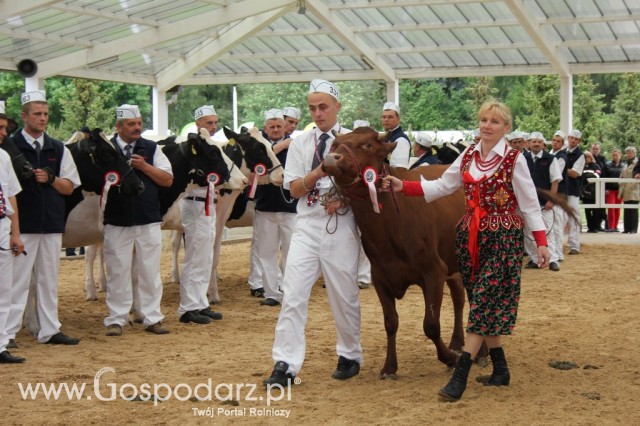 Prezentacja Championów na VII Ogólnopolskiej Wystawie Bydła Hodowlanego w Sielinku 2012 - 25