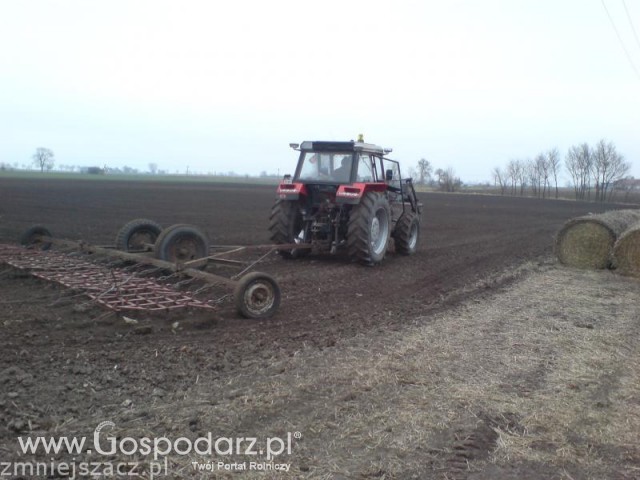 Bronowanie pod buraki