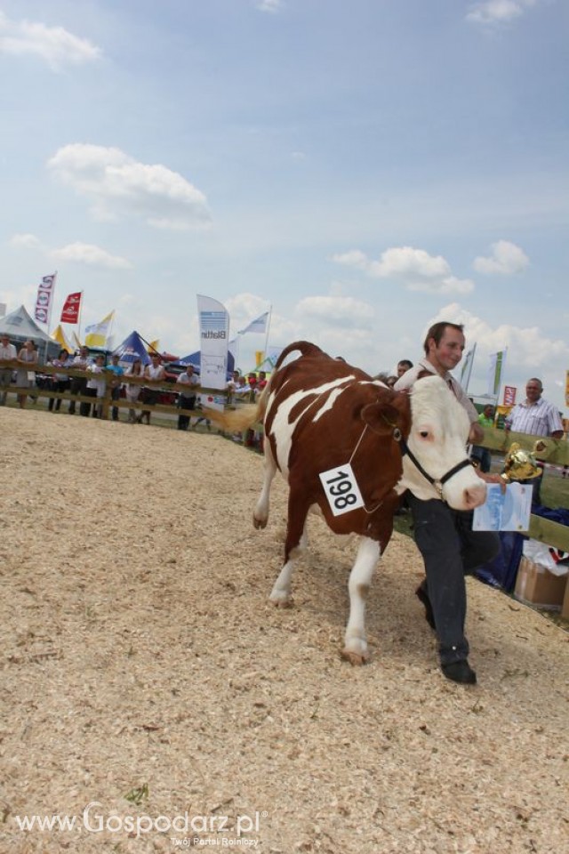 Nagordy dla superchampionów i championów  - 45