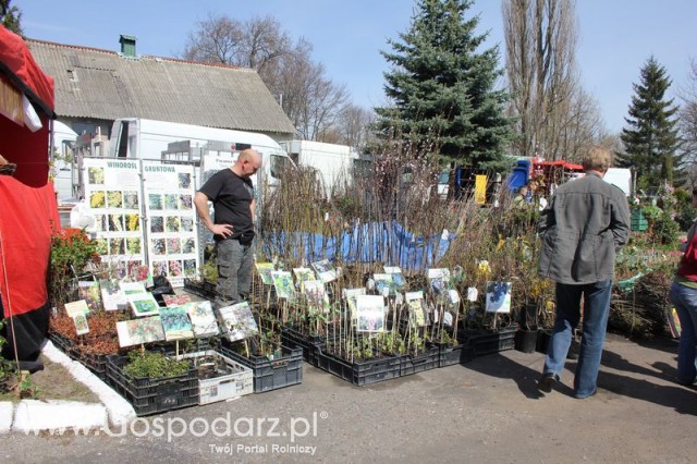 Fotoreportaż z XX Agro-Targów 2011 w Starej Łubiance