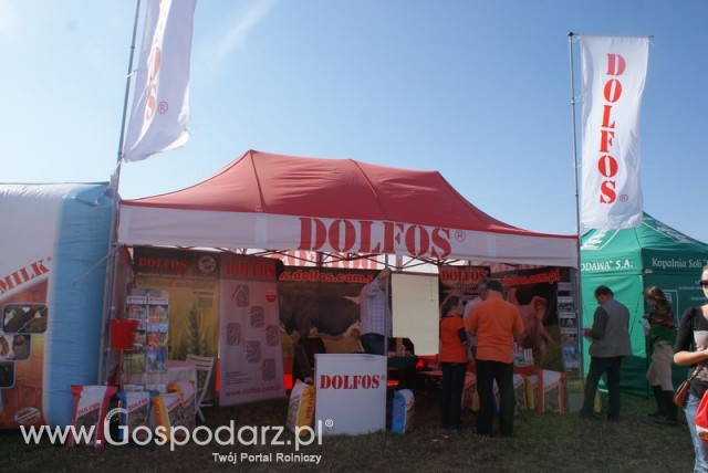 Zdj. - 459 - DOLFOS Spółka Jawna