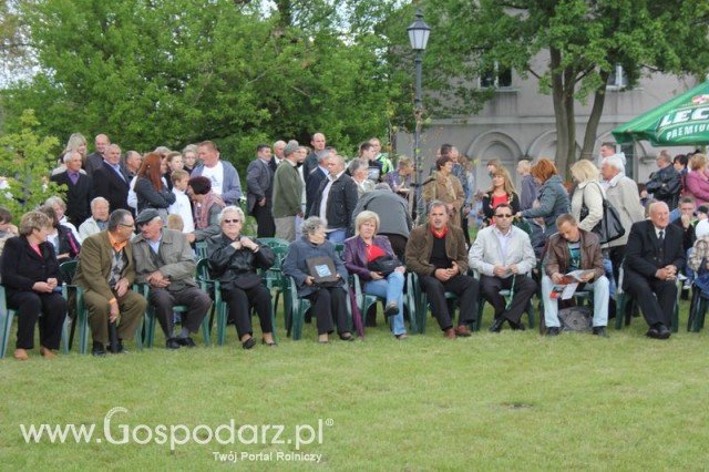 Pierwsze dni indyka w Koźminku