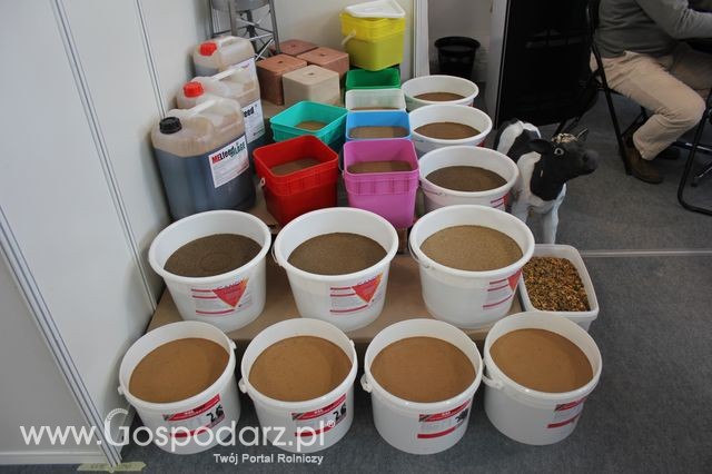 Fotoreportaż  z XI Międzynarodowych Targów Fermy Bydła