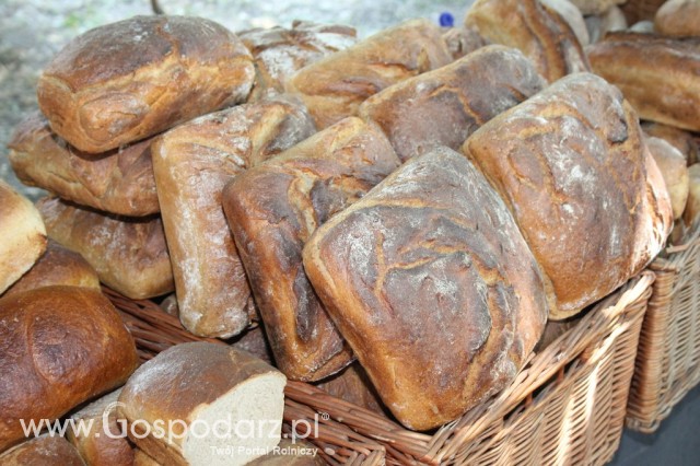 XXII Targi Rolniczo-Ogrodnicze Kościerzyn 2012 - 108