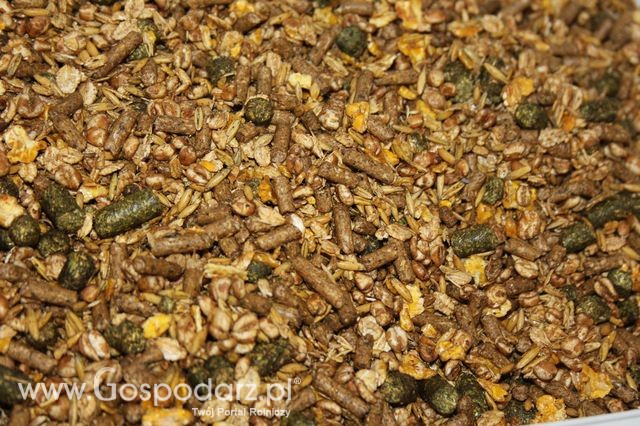 Fotoreportaż  z XI Międzynarodowych Targów Fermy Bydła