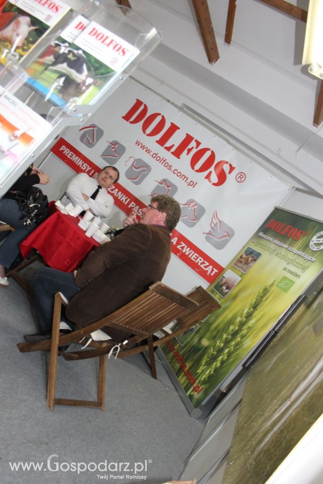 VII Ogólnopolska Wystawa Bydła Hodowlanego - 110