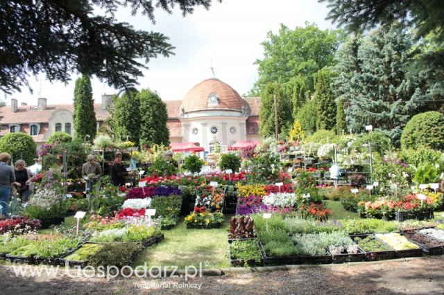 XX Targi Rolnicze Lubniewice