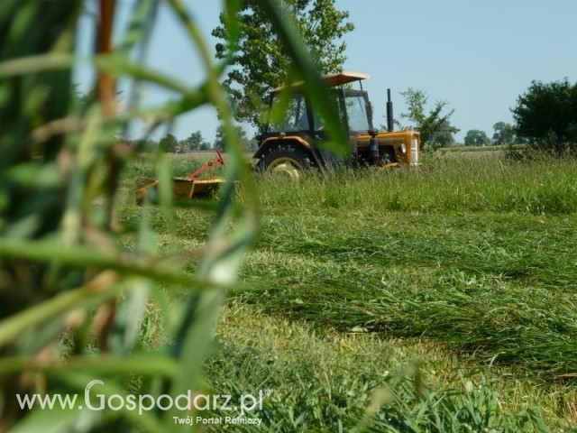 Czy to nie piękny ciągnik?