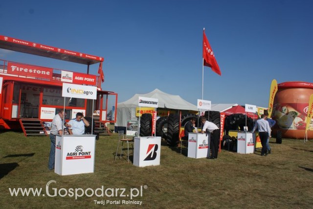 Zdj. - 101 - Firestone