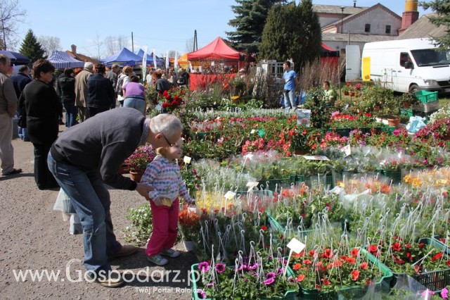 Fotoreportaż z XX Agro-Targów 2011 w Starej Łubiance