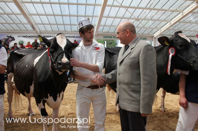 VII Ogólnopolska Wystawa Bydła Hodowlanego - 52