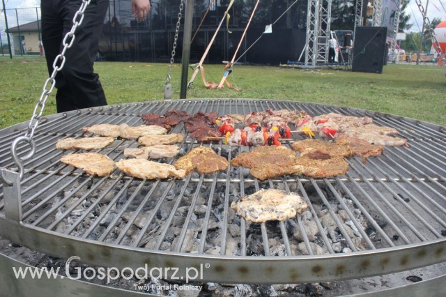 Festiwal Wieprzowiny w Bełżycach - 11