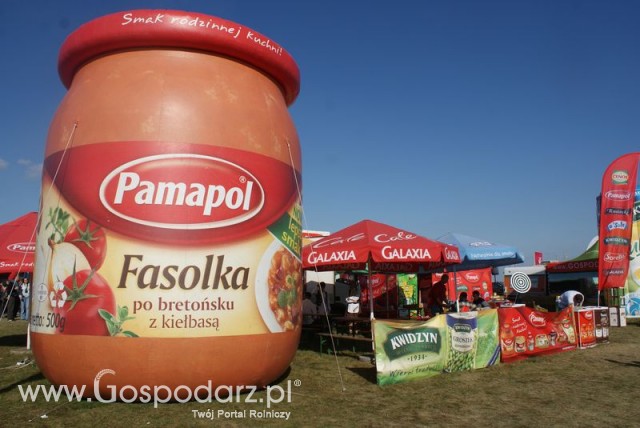 Zdj. - 100 - PAMAPOL S.A.