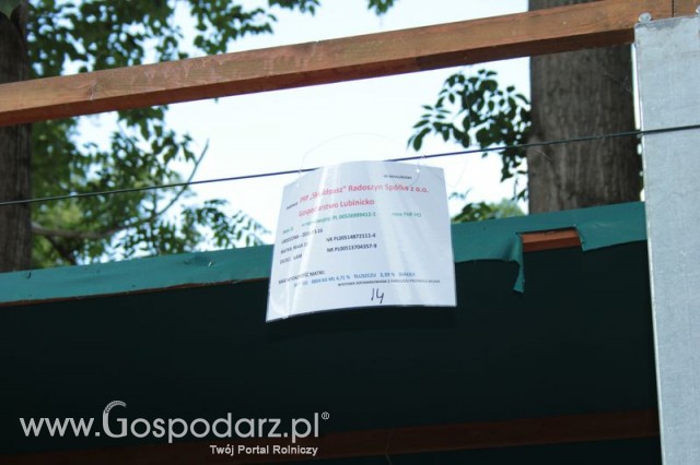 Wystawa Bydła Mlecznego