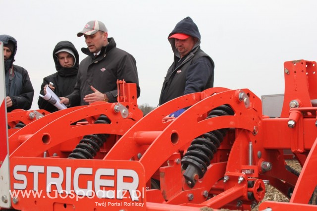 Kultywator STRIGER do uprawy pasowej - 5