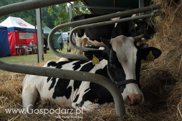 XX Targi Rolnicze Lubniewice