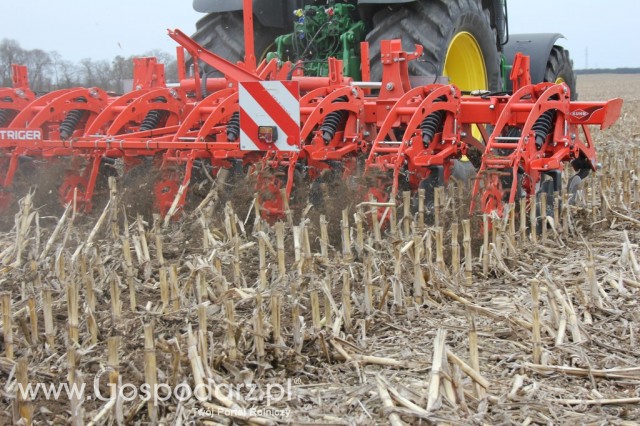 Kultywator STRIGER do uprawy pasowej - 10