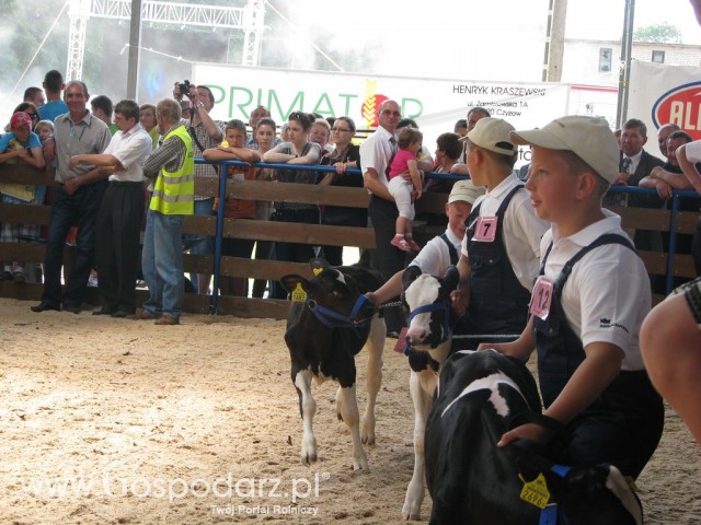 Młody Hodowca - Szepietowo 2012 - 29